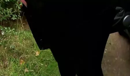 Sürüş okulu seks party xxx kopyasını büyük memeli mulattos öğrenmek için