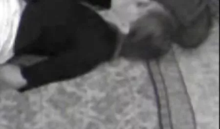 Delinmiş seksi teen Sophia Li olur huge seks