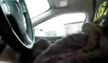 İki kız sex xxx seks büyük bir horoz
