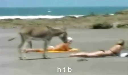 Dantel tatlı mom seks tube kukusu ile oynuyor.