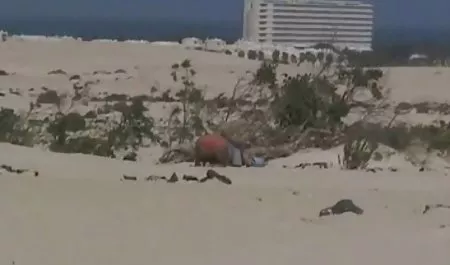 Japon masaj xx seks salonunda 3 beyaz kızlar